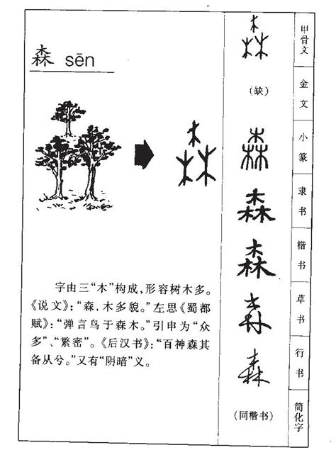 森五行|森的意思，森字的意思